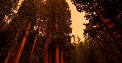 20210918164538_17