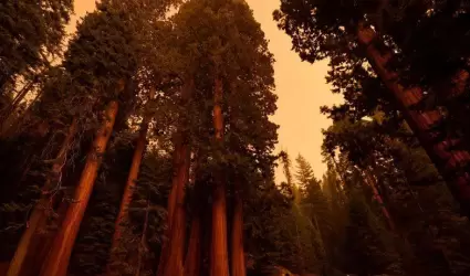 20210918164538_17