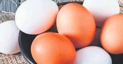 20211015195940_61