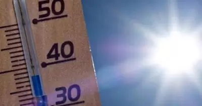 20211108114733_135