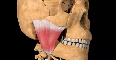 20211228075501_17
