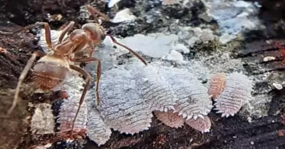 20220116125330_215