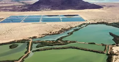 20220101160520_17