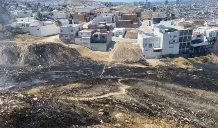 20220425155454_218