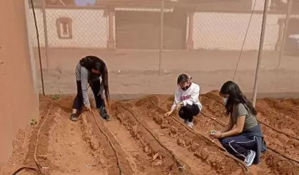 20220412161929_218