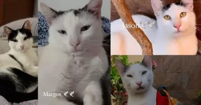 20220506144752_135