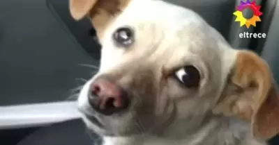 20220612180143_218
