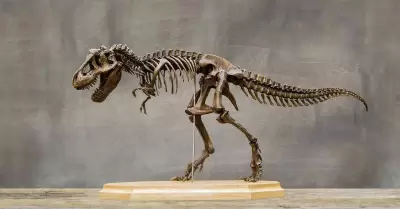 20220706095740_215