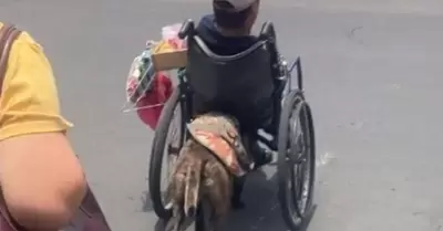 20220801114220_61