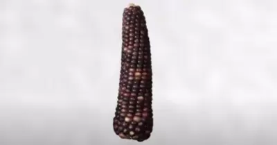 20220928104123_215