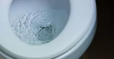 20221103100602_219