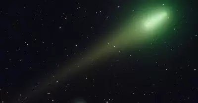 20230127065230_219
