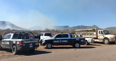 Incendio forestal Sonora