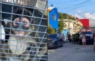 Mono araña se columpia en cables y provoca incendio en casa