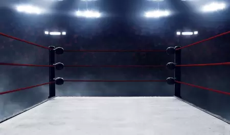 Ring lucha libre box