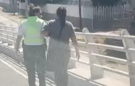 Elemento de la Policía logra convence a mujer de bajar de un puente cuando intentaba lanzarse
