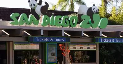 Zoolgico de San Diego
