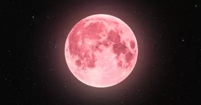 Luna rosa