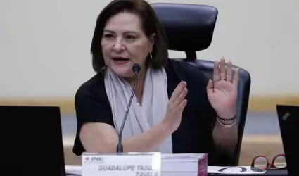 Guadalupe Taddei, nueva consejera presidenta del INE