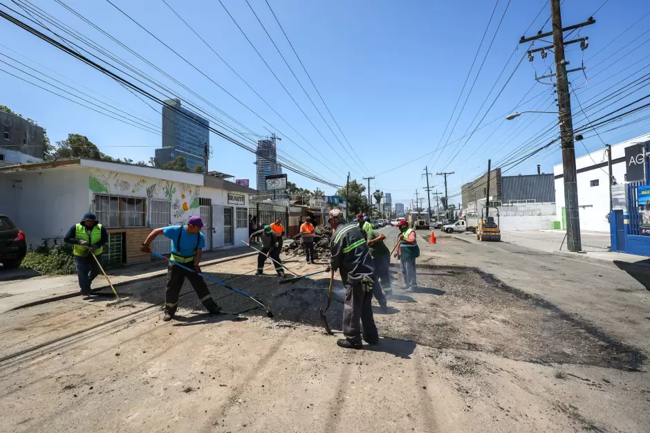 Bacheo