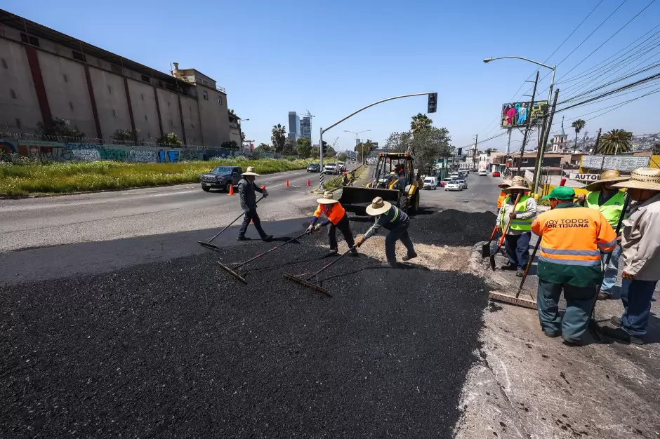 Bacheo