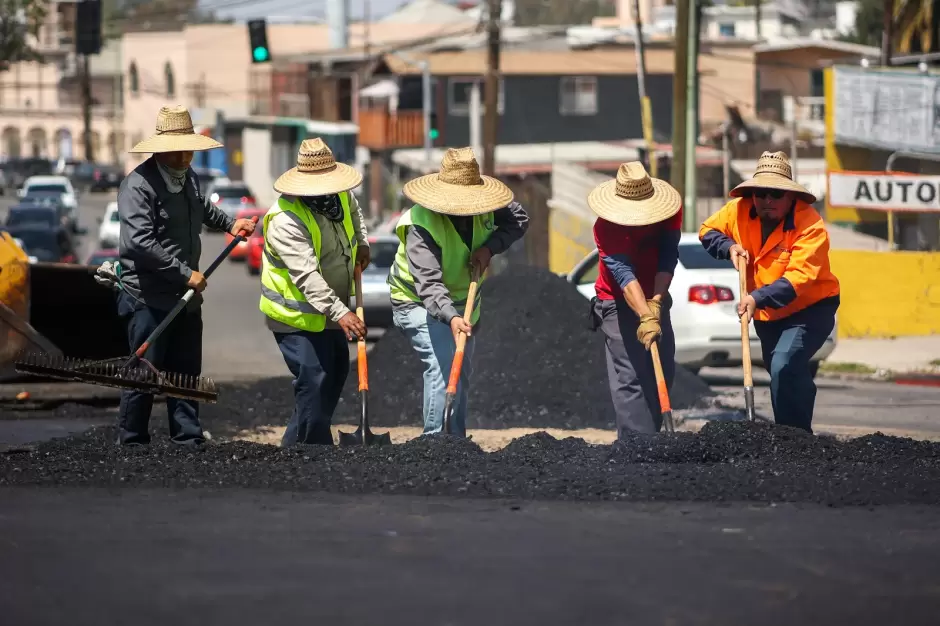 Bacheo