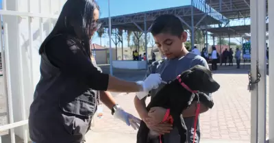 Prevenci�n contra la Rickettsia y Dengue en TJ y Tecate