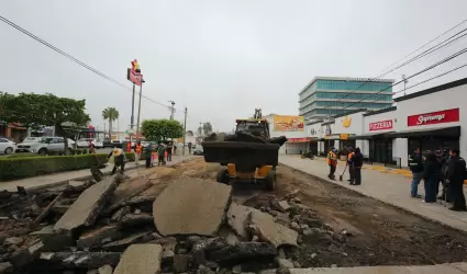 Bye Bye Baches