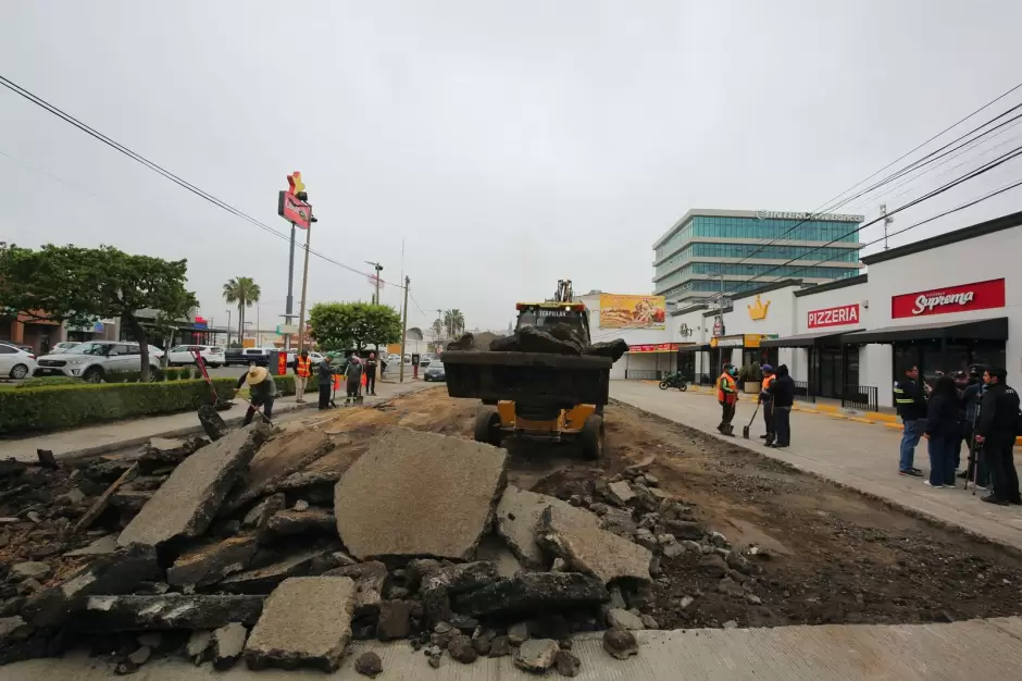 Bye Bye Baches