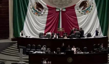 C�mara de Diputados aprob� dictamen en materia de edad m�nima para ocupar un car