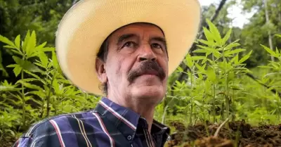 Vicente Fox, expresidente de Mxico