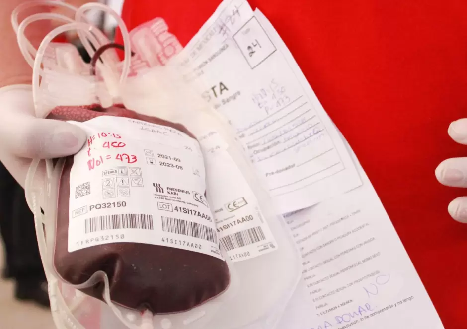D�a Mundial de la Hemofilia