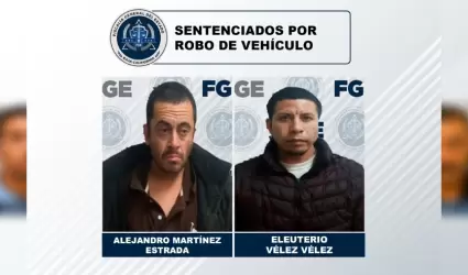 Sentencias por robo de veh�culo