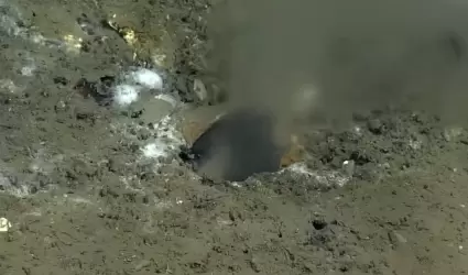 Un extrao lquido caliente emerge de un agujero en el fondo del Ocano Pacfico