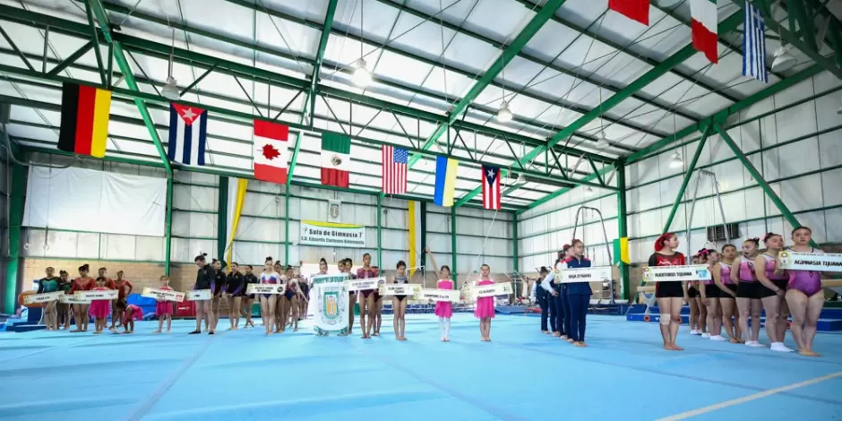Gimnasia art�stica