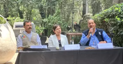 Cooperaci�n multinstitucional