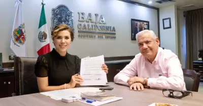 Subsidio hist�rico de electricidad