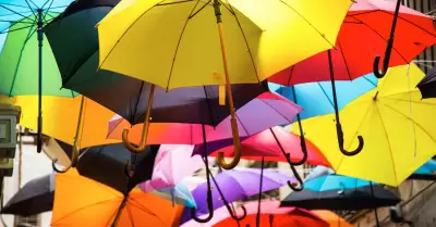 Los paraguas y las sombrillas japoneses: resistentes a la lluvia, el viento  y los rayos del sol