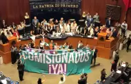 Morena en el Senado rechaza propuesta de Ricardo Salgado en el INAI