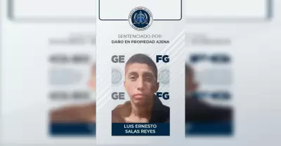 Detenido da�o en propiedad ajena