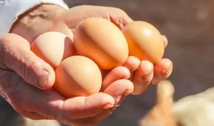 Capacitación a productores de huevo