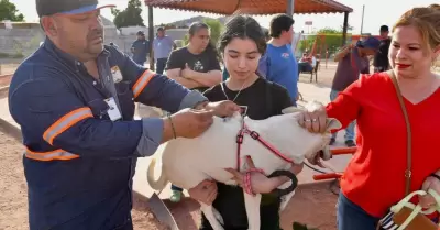 Ser� de las 18:00 a las 20:00 horas en el parque ubicado en el bulevar Las Lomas