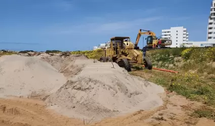 Suspenden trabajo ilegal en dunas de Playa Pacifica