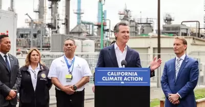 Gavin Newsom