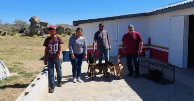 Esterilizaciones gratuitas a zonas rurales de Ensenada