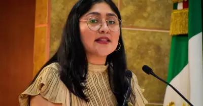 Diputada Liliana Michel S�nchez Allende