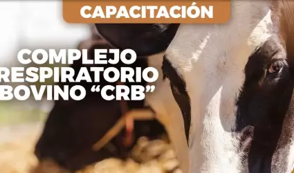 Capacitacin a ganaderos de bovinos, caprinos y ovinos
