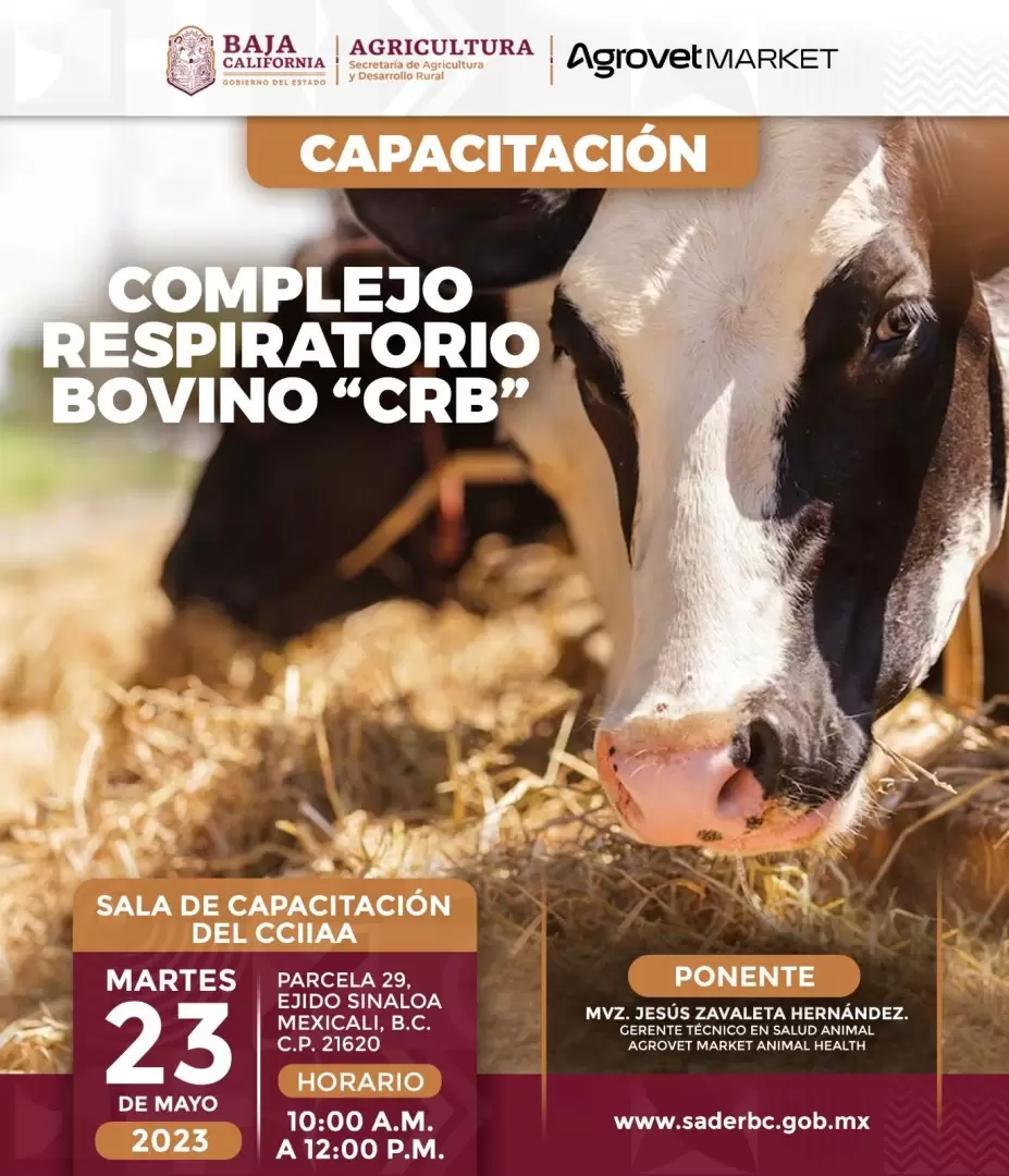 Capacitación a ganaderos de bovinos, caprinos y ovinos