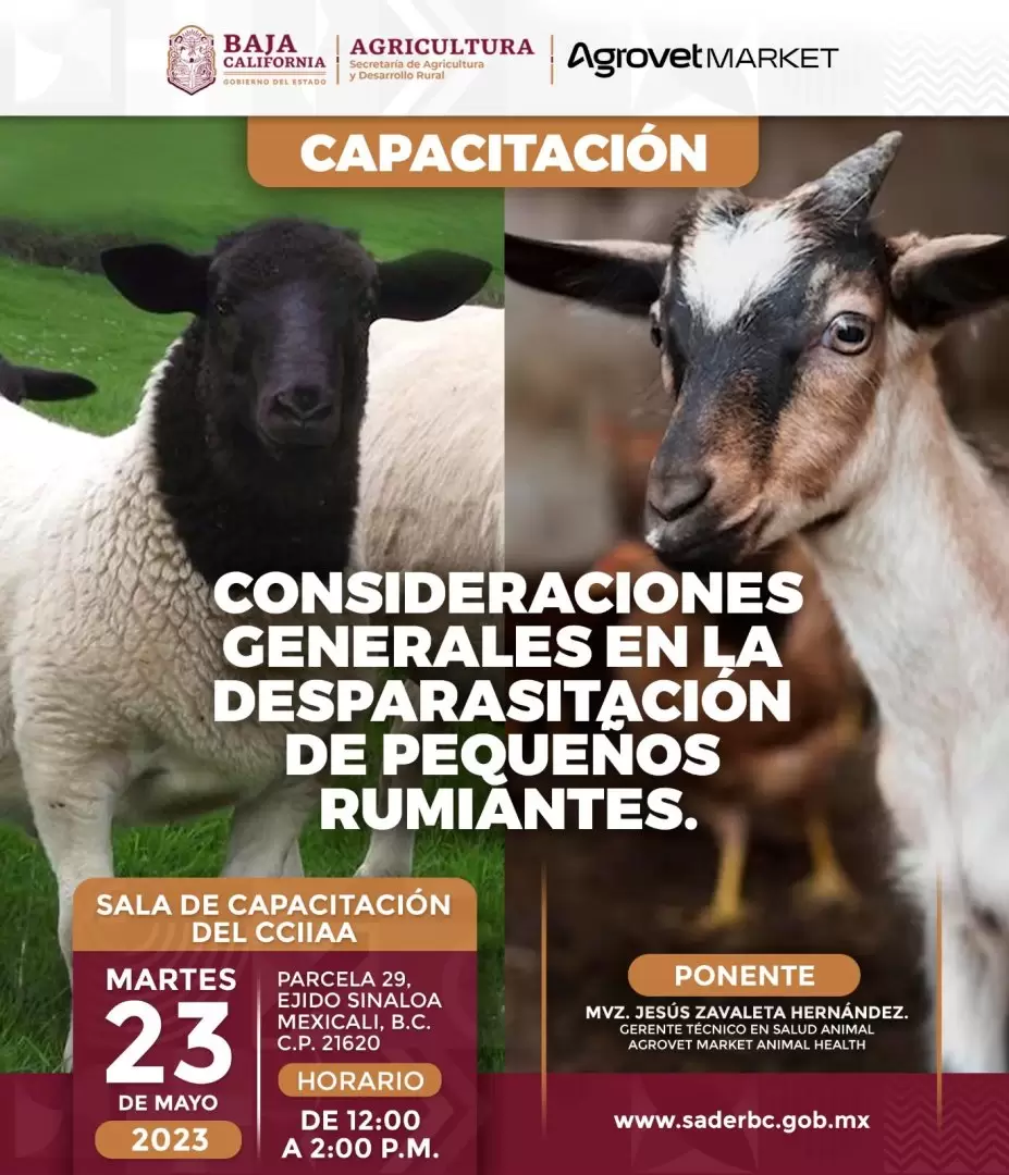 Capacitación a ganaderos de bovinos, caprinos y ovinos