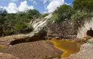 A 10 a�os del derrame, no se ha recuperado econom�a de los r�os Bacanuchi y Sonora